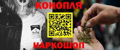 соль ск Новозыбков