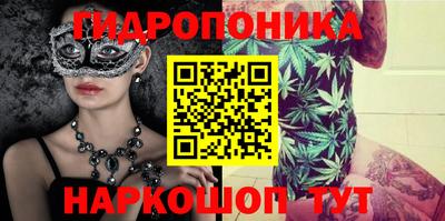 каннабис Новодвинск